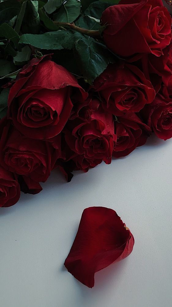 Photograph by Грушина Катерина