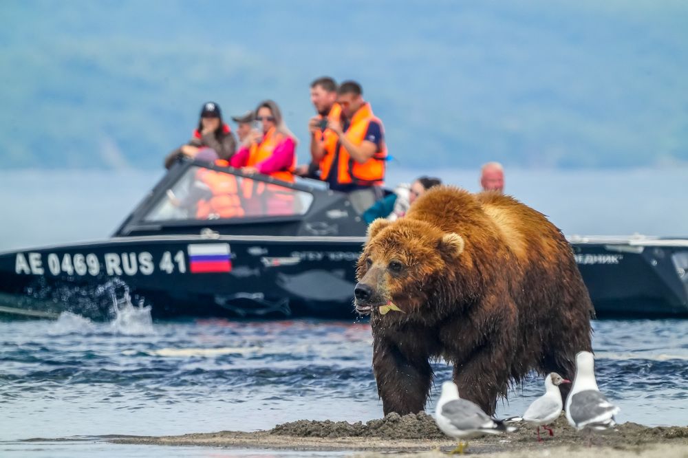 Понаехали тут