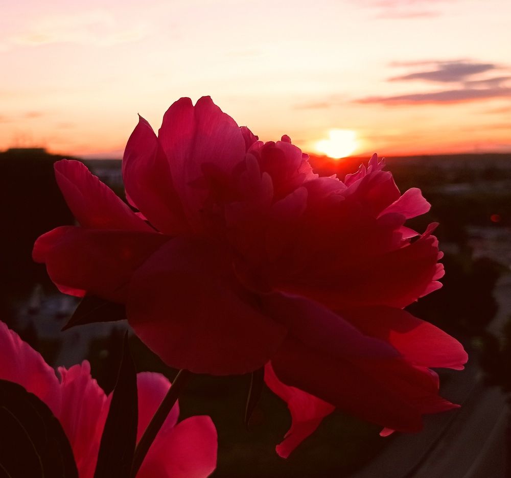 Photograph by Наталья Стальмакова