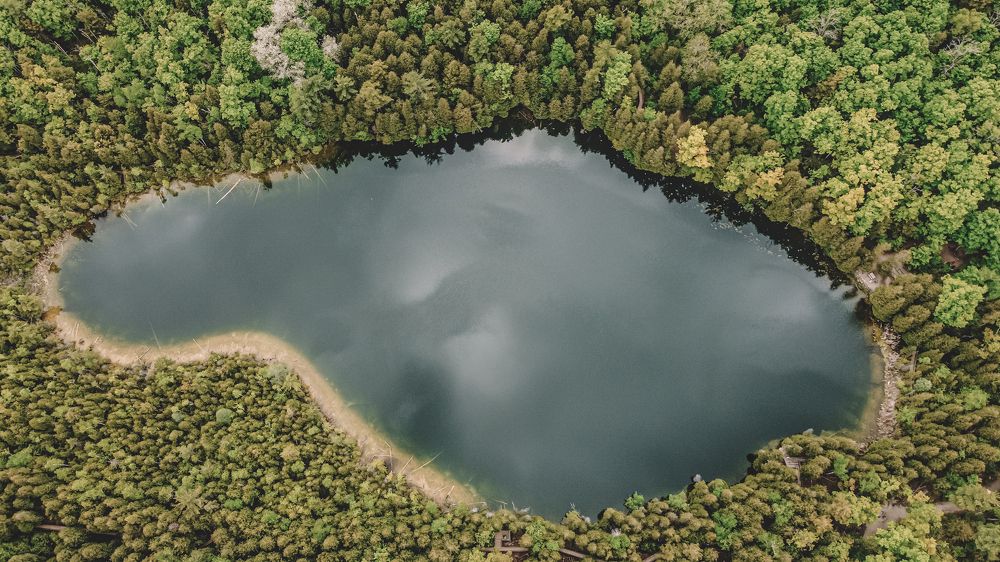 Photograph by Наталия Ковалева