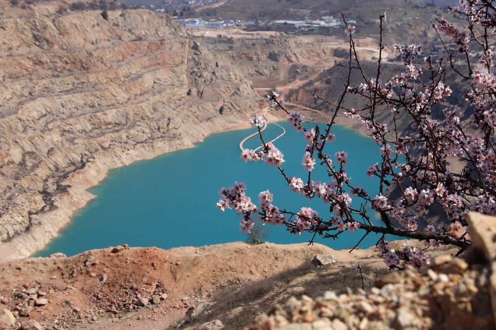 Photograph by Наталья Стальмакова