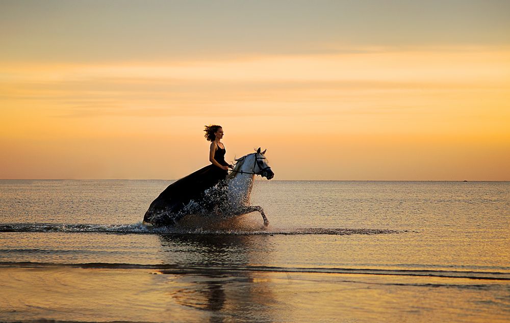 Photograph by Алина Жук