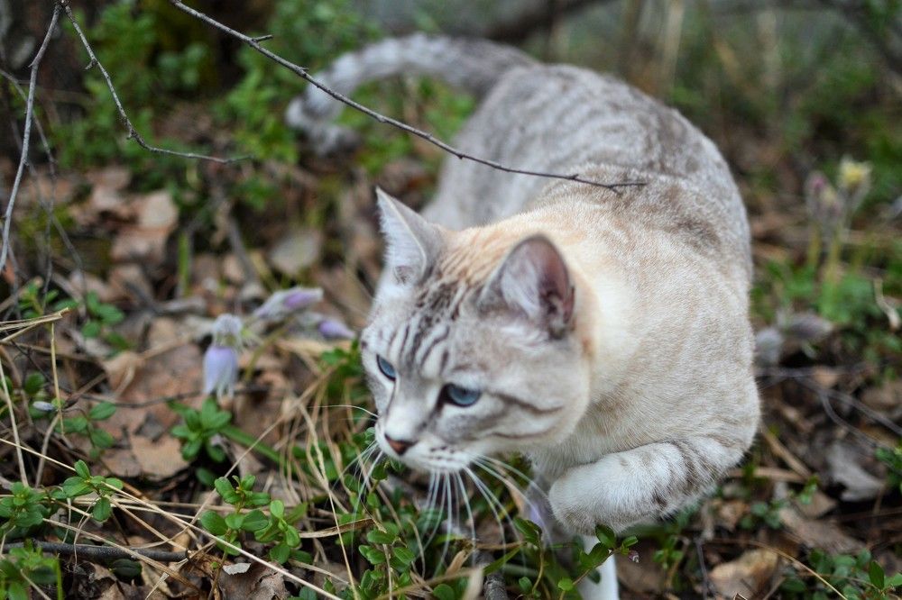Photograph by Оксана Радзиевская