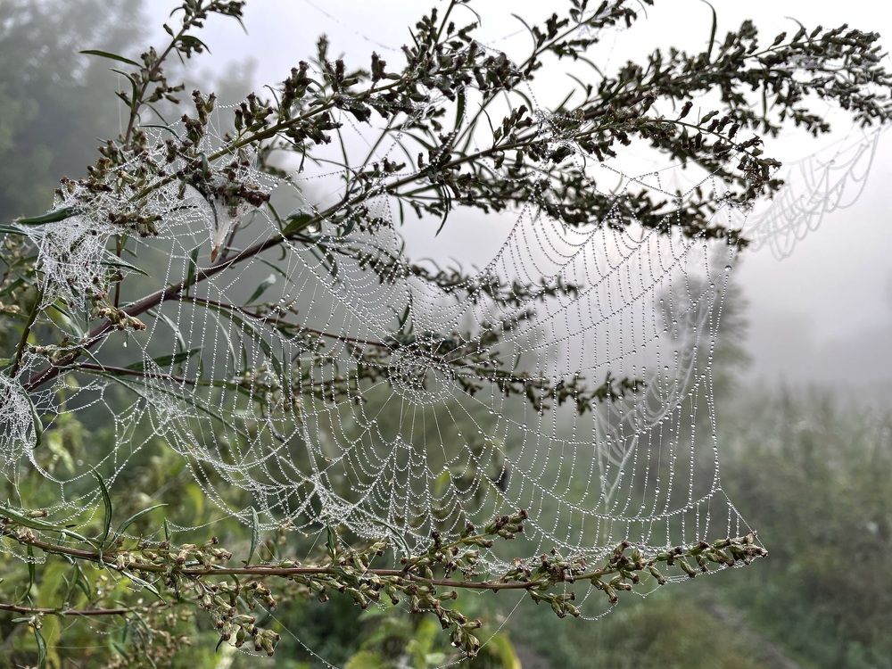 Photograph by Николай