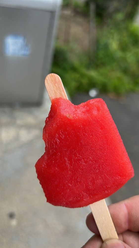 Photograph by Carlos