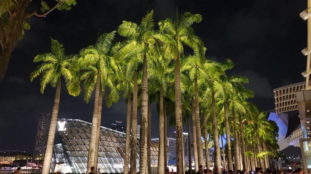 Photograph by Kasun Wickramasinghe