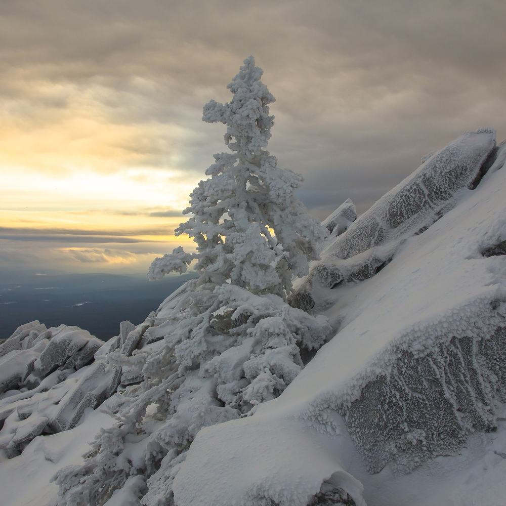 Photograph by Андрей Фадеев