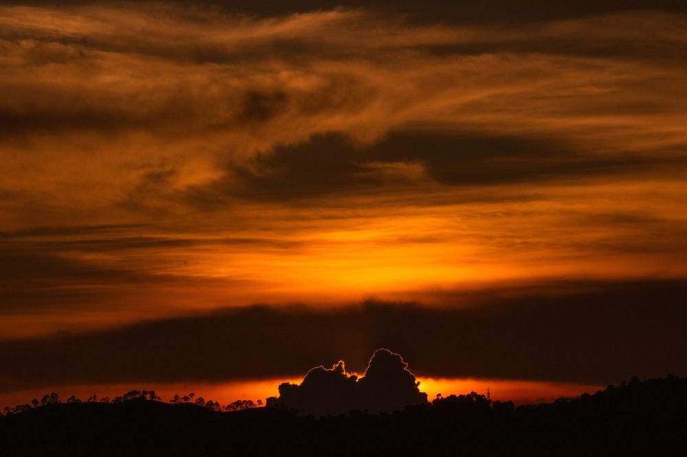 Фотография автора Mahesh singh bisht