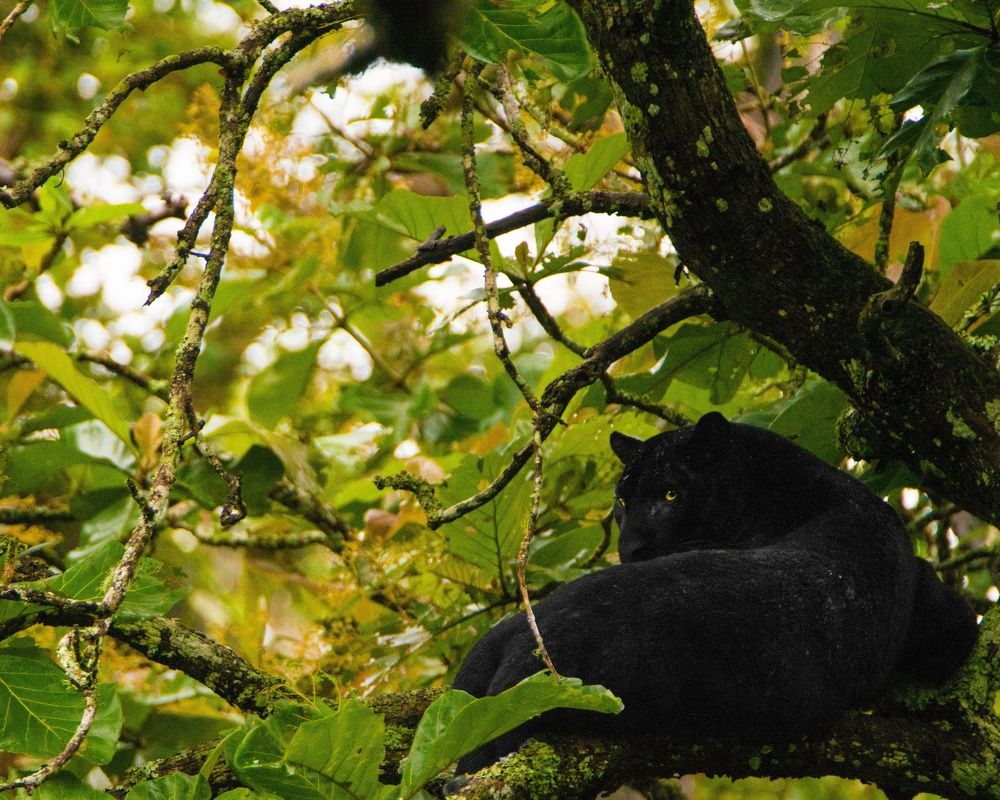 Photograph by Nandhakumar Velumani