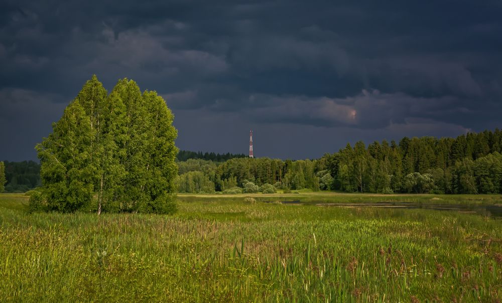 перед грозой