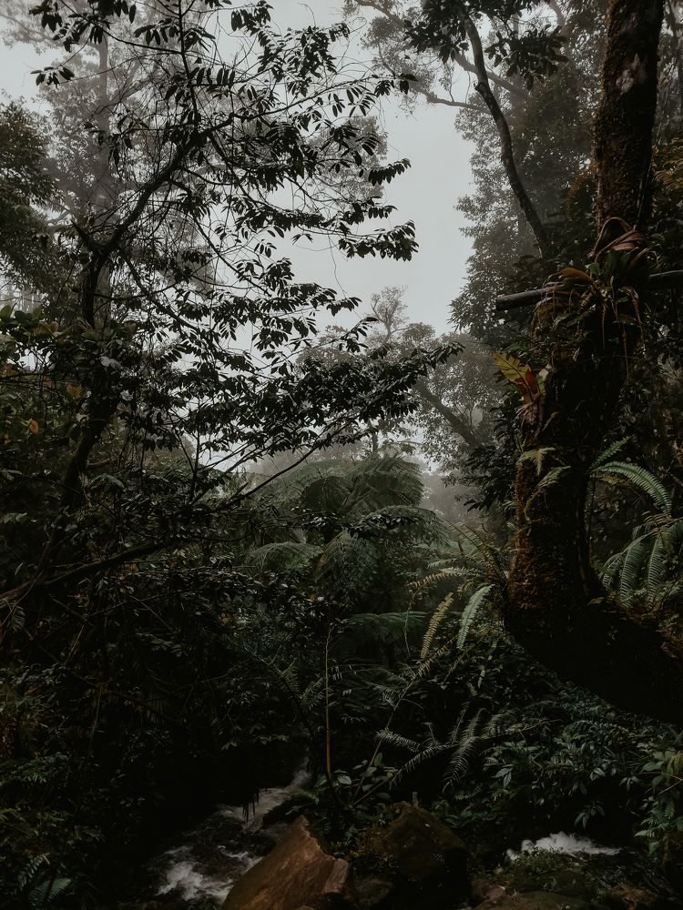 Photograph by MICHAEL SECORATA