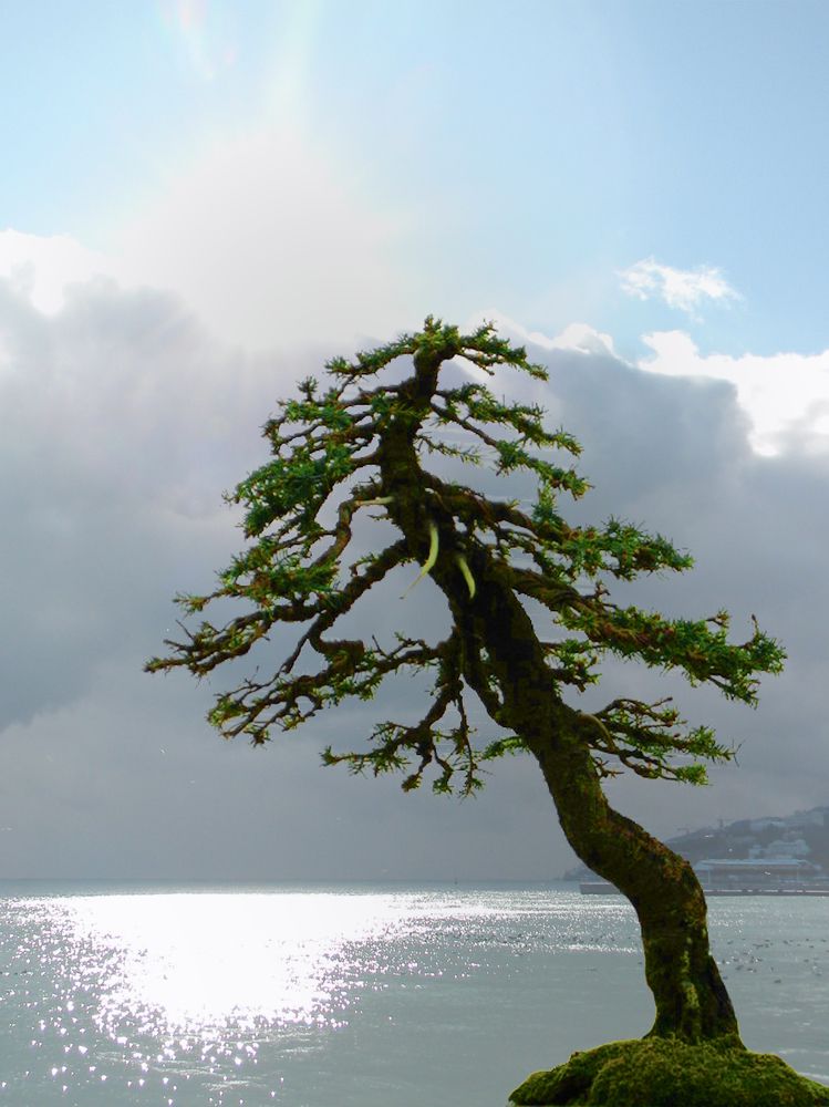 Photograph by Савоцкий Роман