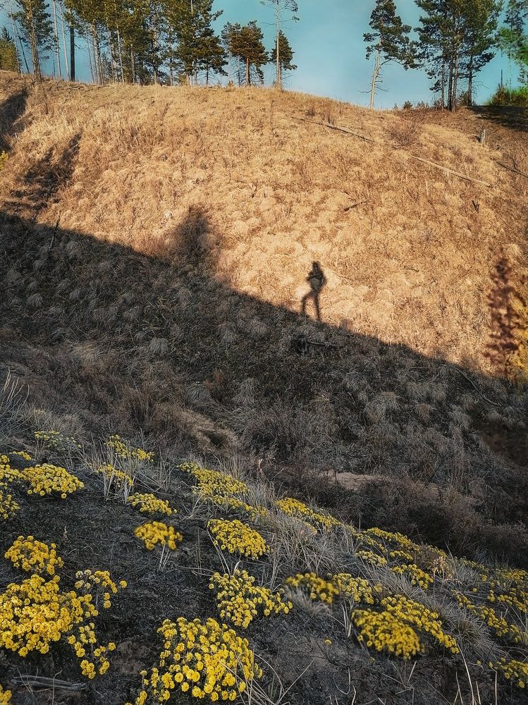 Photograph by Светлана Шелухеева