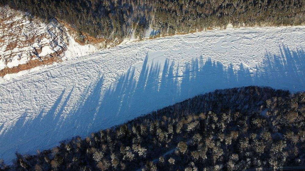 Частокол на реке