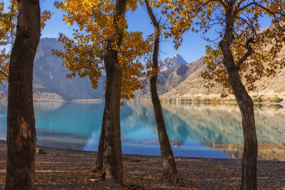 Photograph by niksnaksnikolos