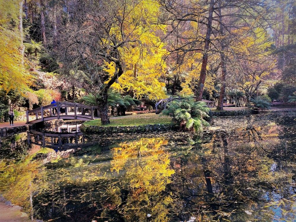 Photograph by Natalia Vostrikova