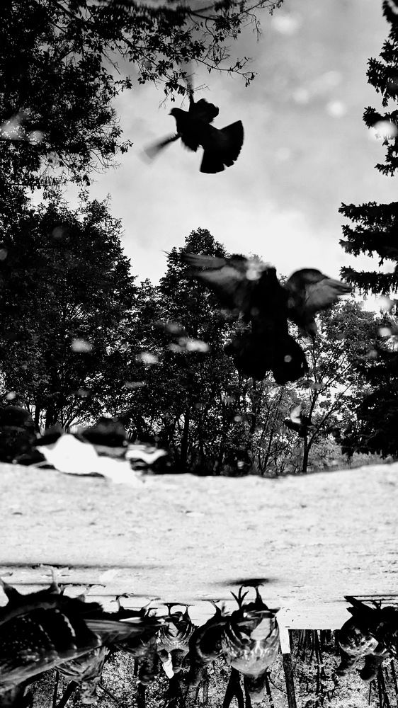 Photograph by Анна