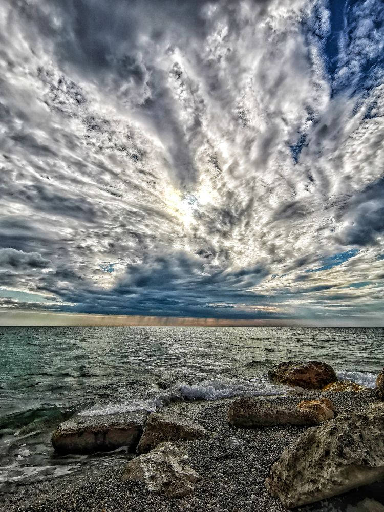 Хвост жарптицы