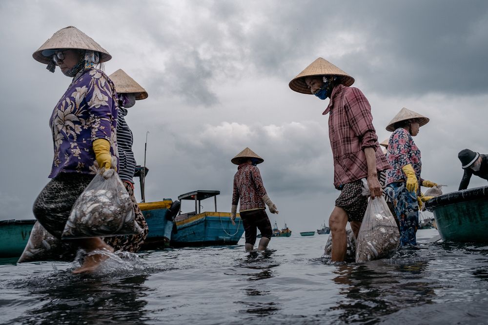 Photograph by Gil Kreslavsky