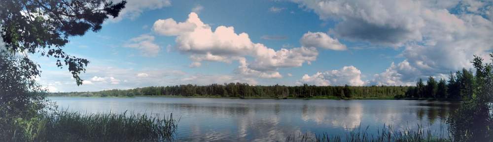 Photograph by Ольга Пришедько