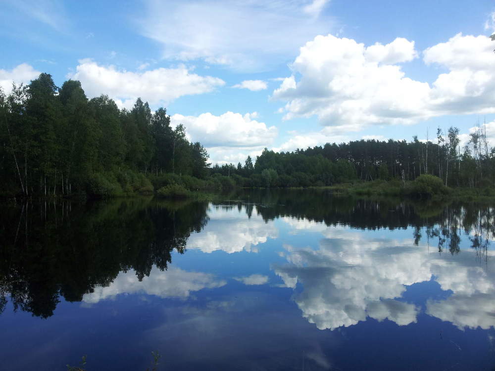 Photograph by Ольга Пришедько