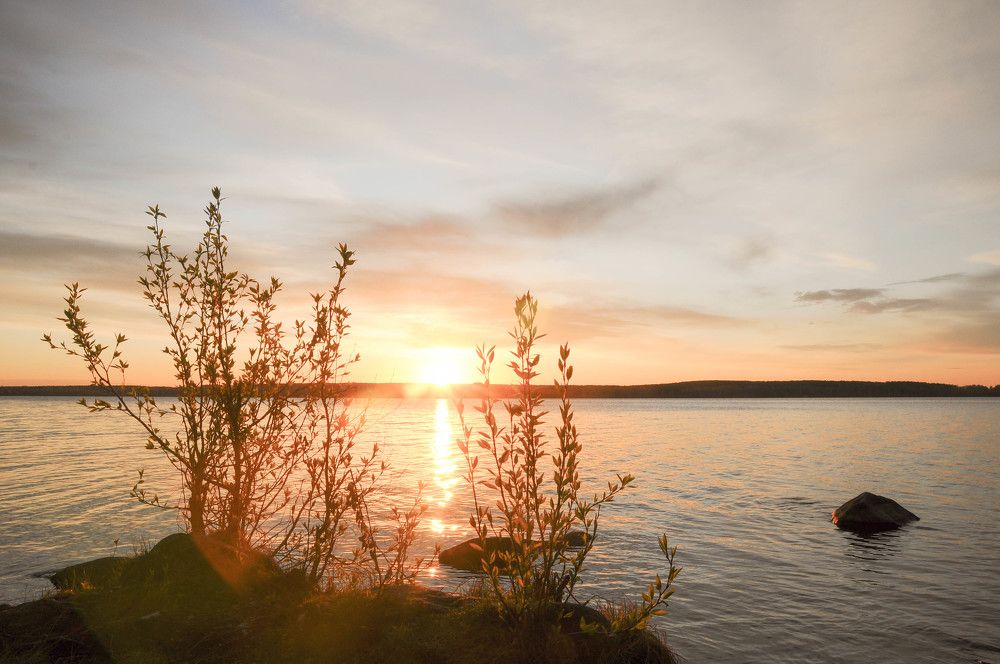 Photograph by Наталия Акимова