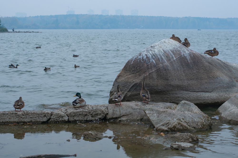 Photograph by Наталия Акимова