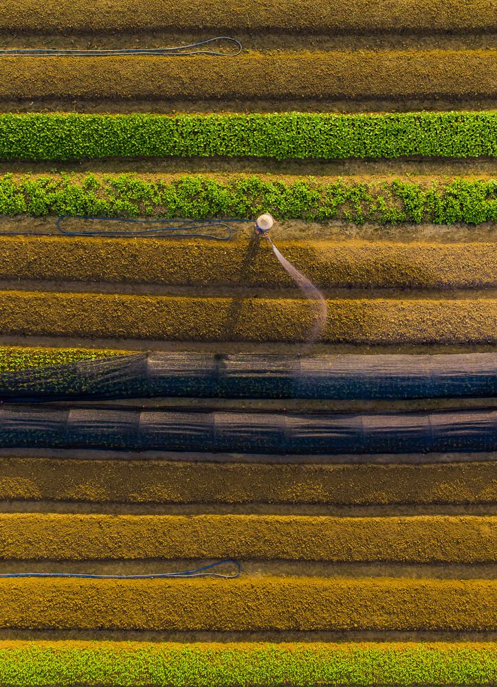 Photograph by Minh Chu Van