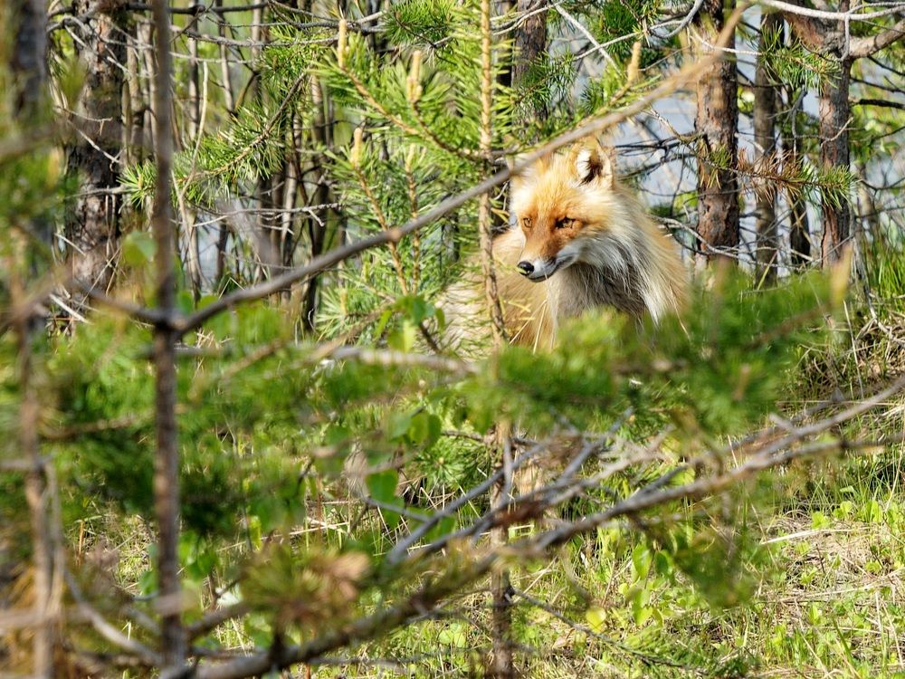 Photograph by Alex Klyuev