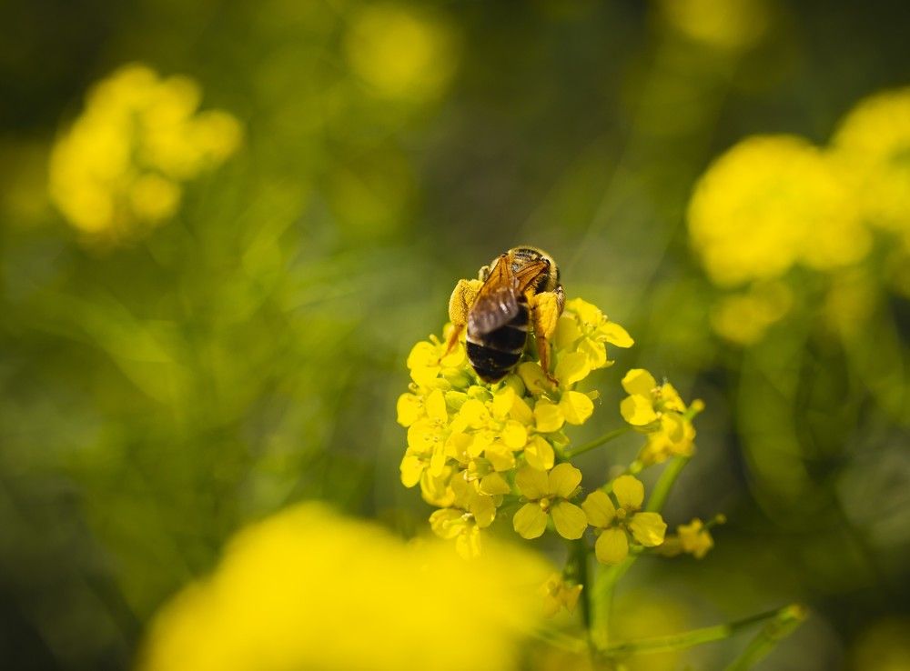 Photograph by Сергей Захаров