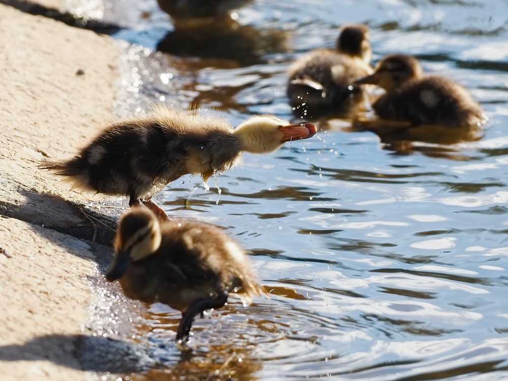 Photograph by Нурият Аллаярова