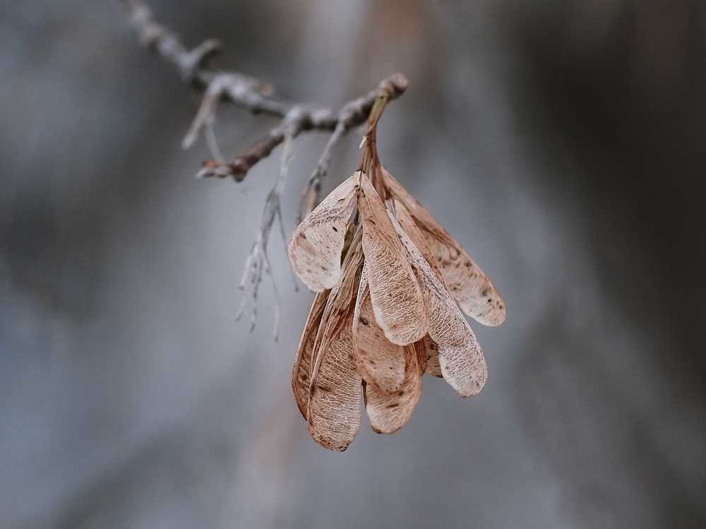 Photograph by Нурият Аллаярова