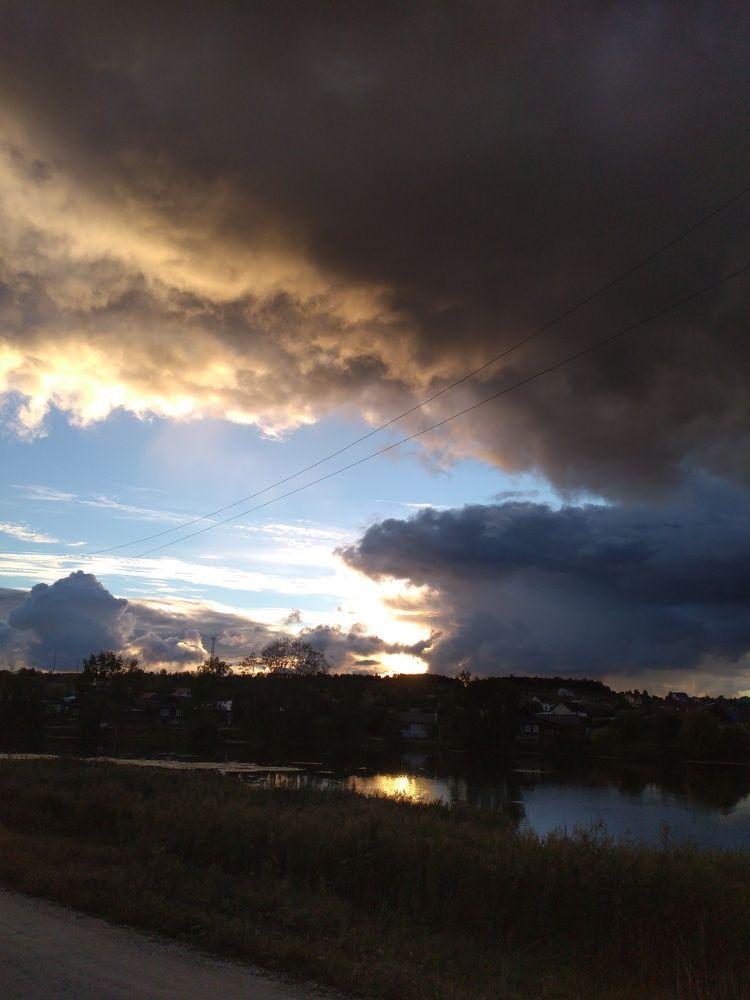 Photo #8379175