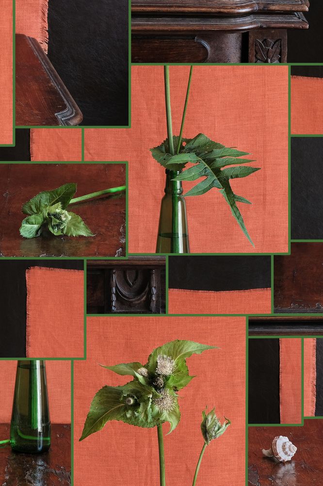 Photograph by Олеся Неволина-Лопатина