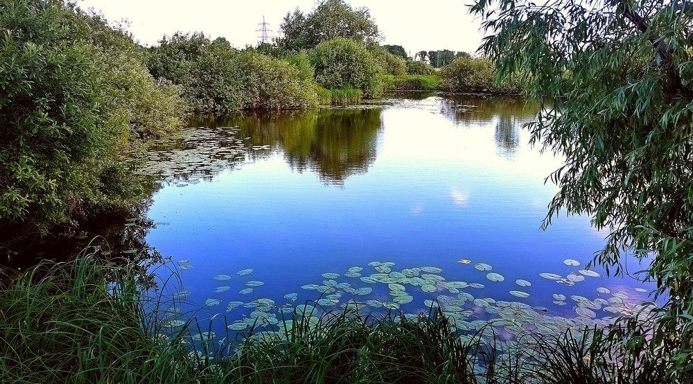 Photograph by леонид натапов