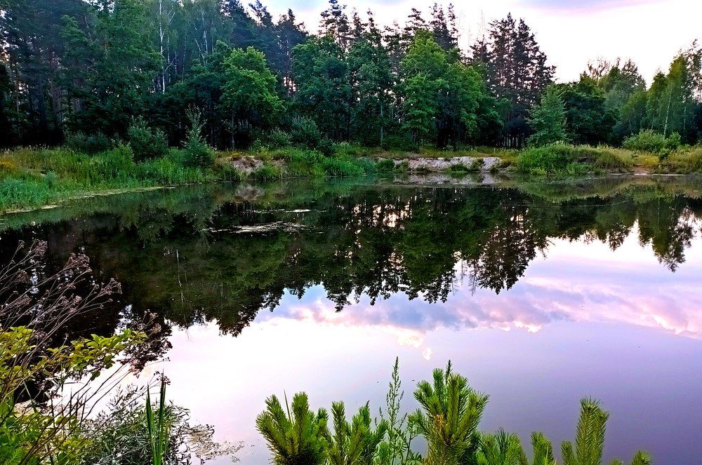 Photograph by леонид натапов