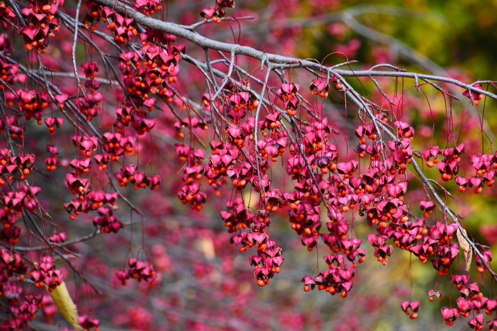 Photograph by Екатерина Крючкова