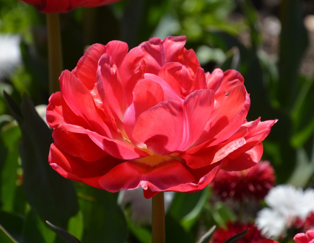 Photograph by Екатерина Крючкова