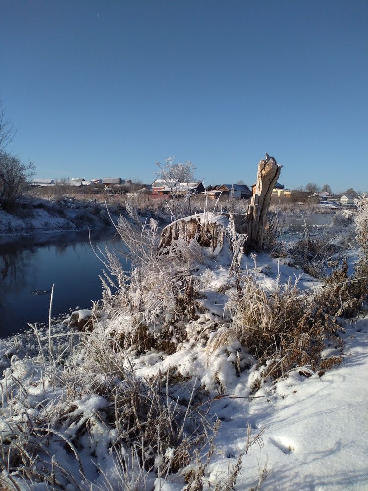 Photo #8379260