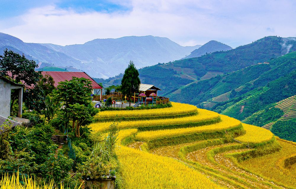 Photograph by PHUONG NGUYEN THANH