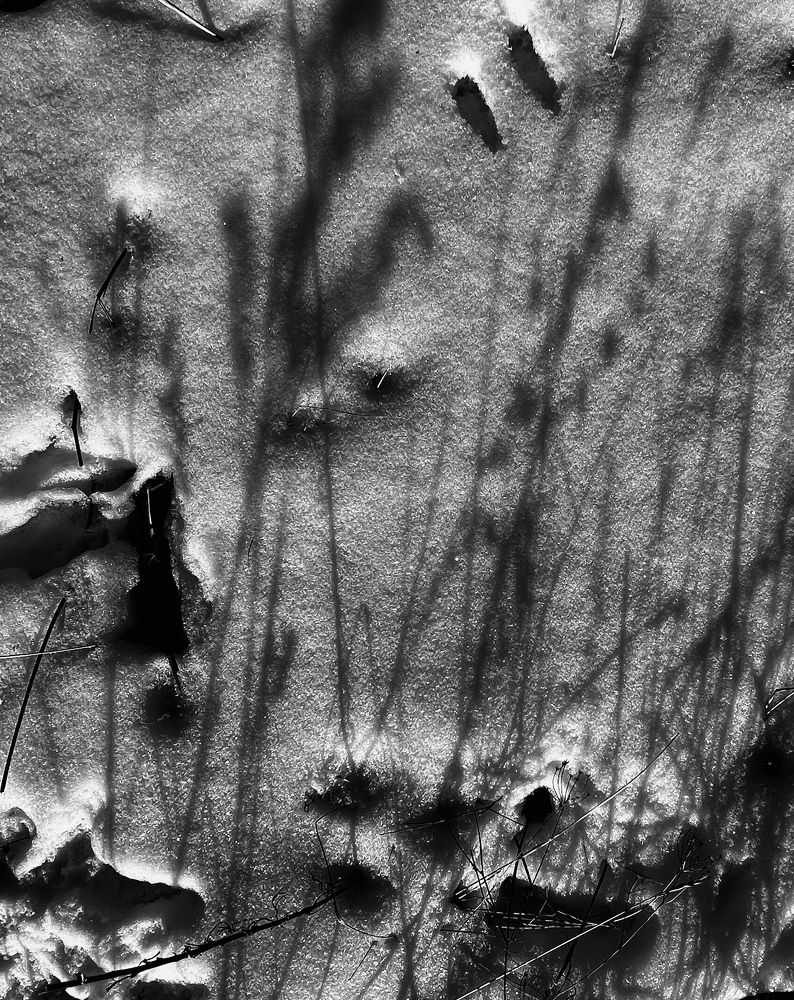 Photograph by Елена Мизина