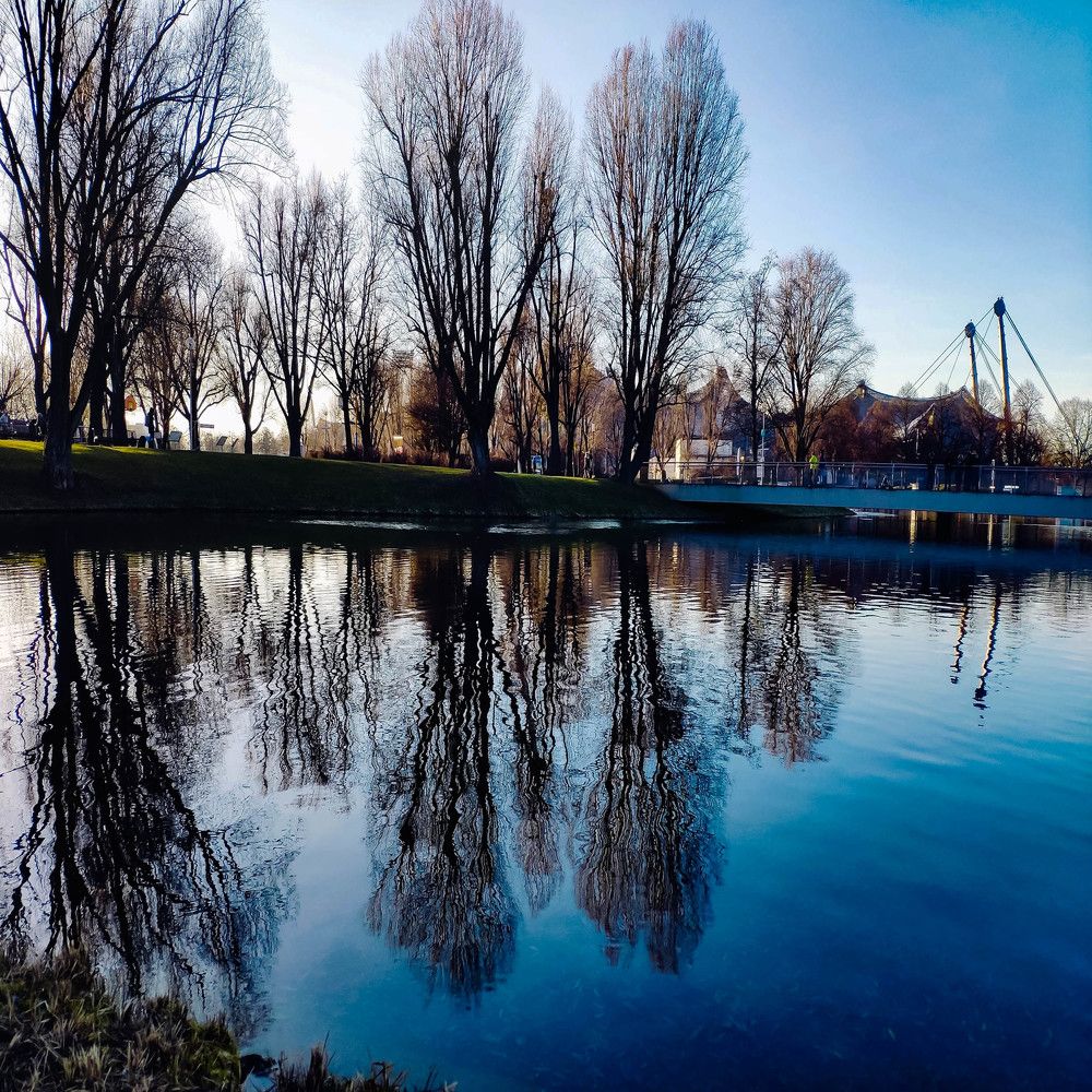 Photograph by Luis Alfredo Morales Torres