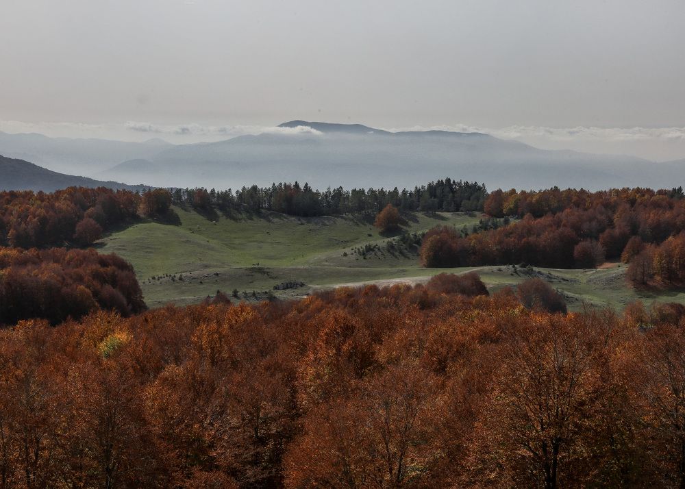 Photograph by Елена