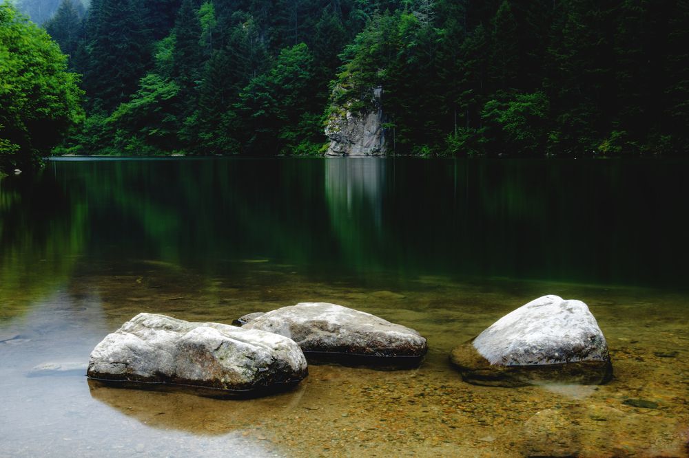 Photograph by Ali Abu Ras