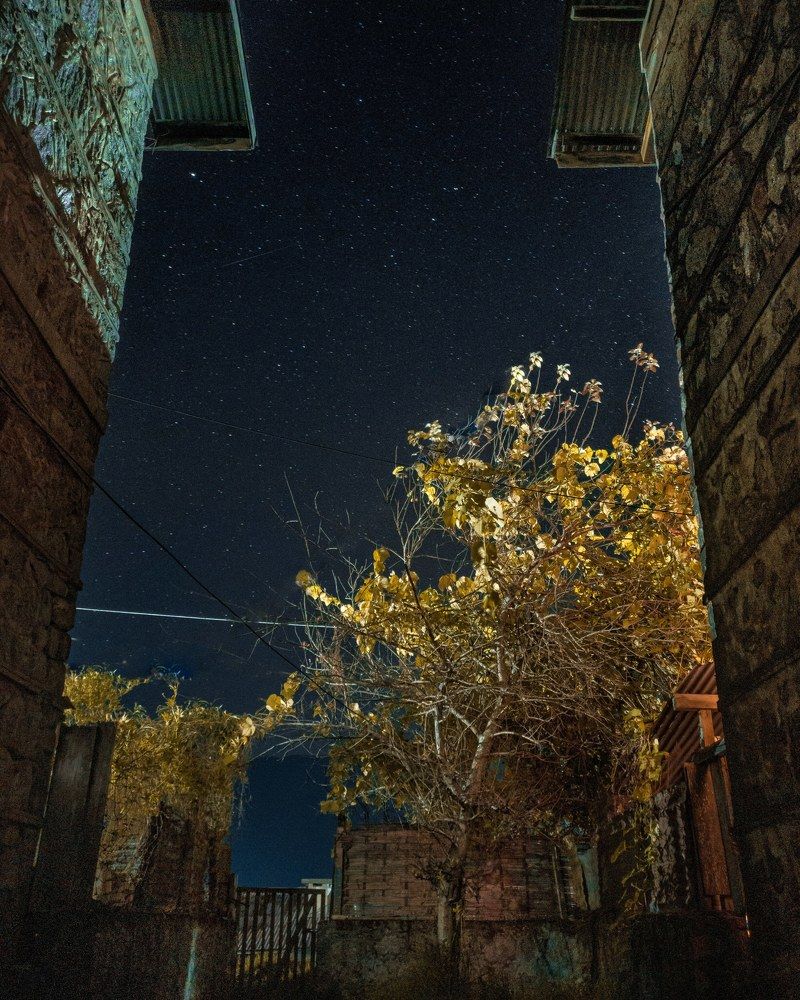 Photograph by Norbu Tshering