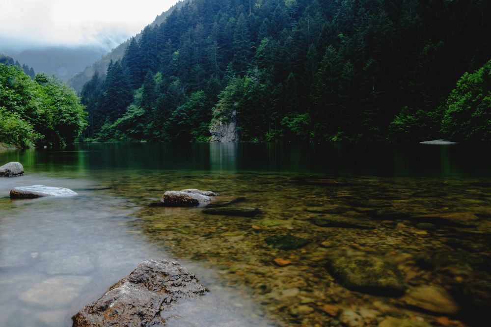 Photograph by Ali Abu Ras