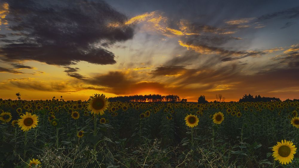 Photograph by Сергей Епишев