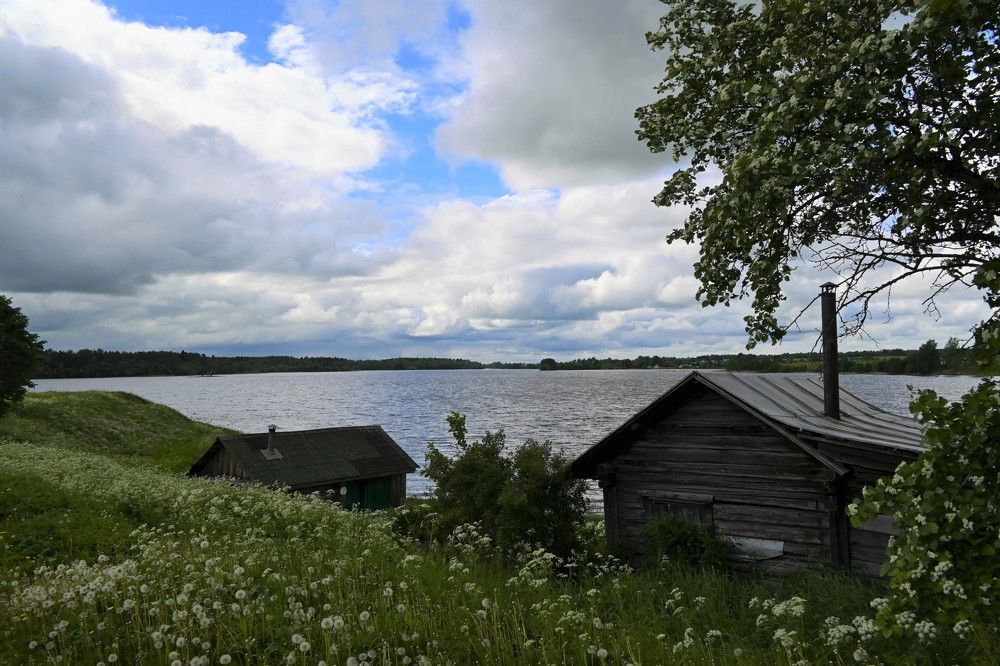 Фотография автора IRINA FILIPPOVA