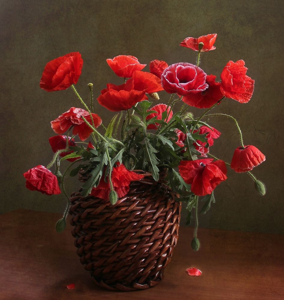 Photograph by Марина Филатова