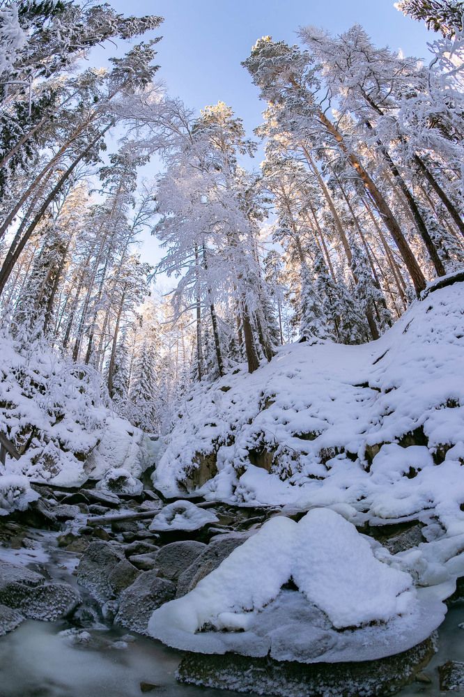 Photograph by Алексей Середенин